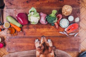Какие овощи нельзя собакам? Разбираем опасные продукты для питомца