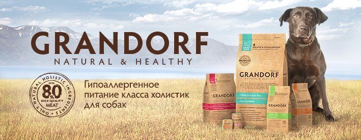 На что обратить внимание при выборе корма для собак Grandorf?